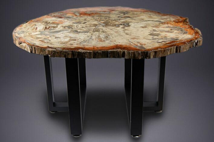 Gorgeous Polished Triassic Petrified Wood Table - Madagascar #303670